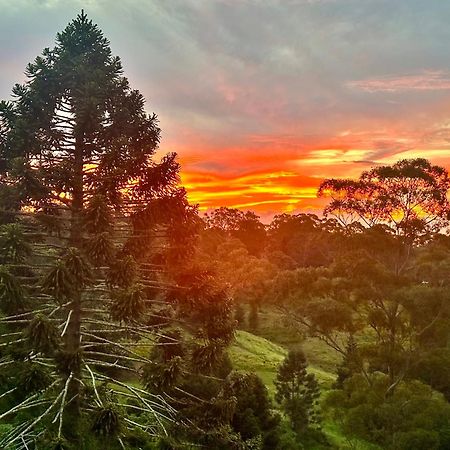 Whispering Valley Cottage Retreat Maleny Esterno foto