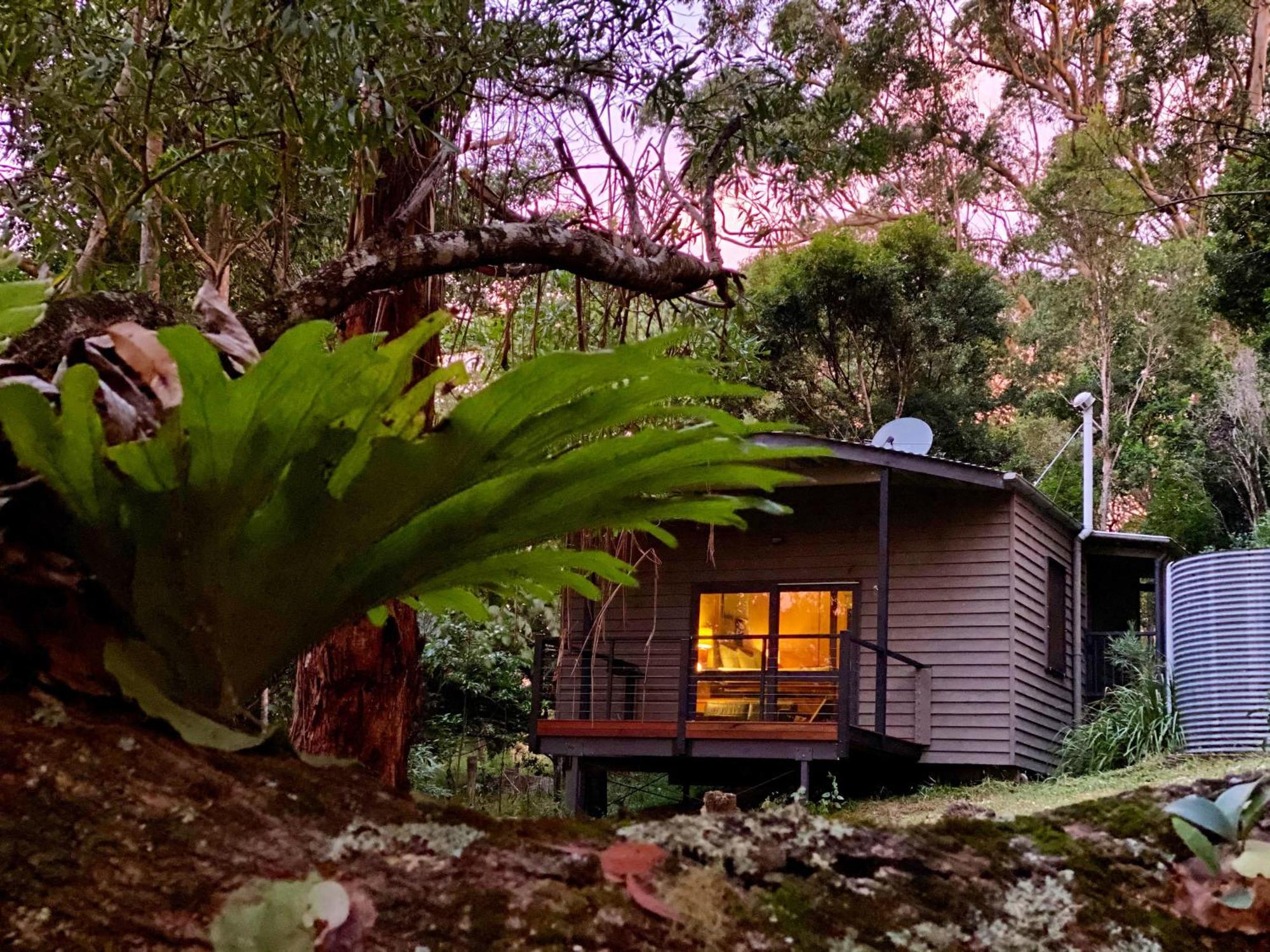 Whispering Valley Cottage Retreat Maleny Esterno foto