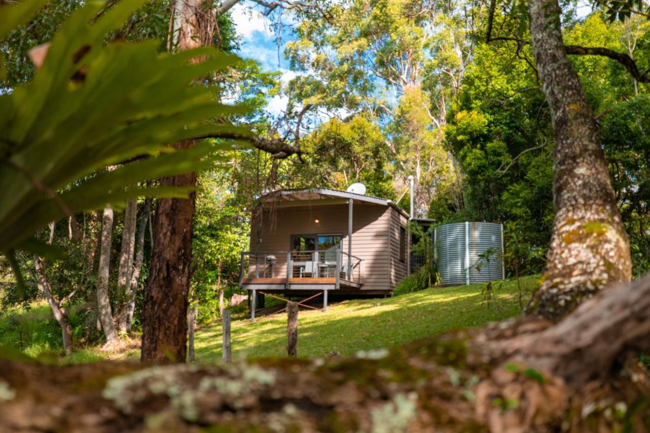 Whispering Valley Cottage Retreat Maleny Esterno foto