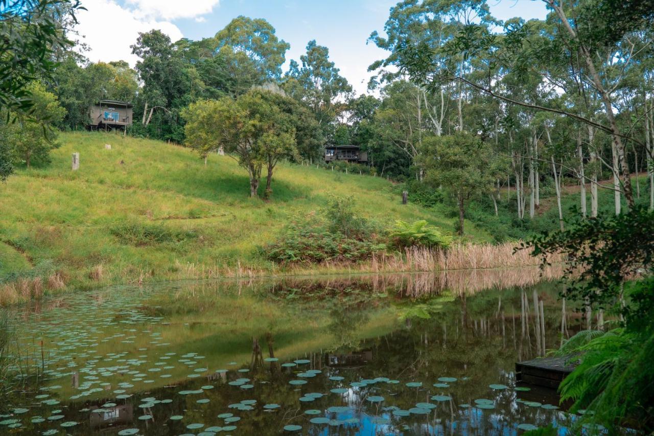 Whispering Valley Cottage Retreat Maleny Esterno foto
