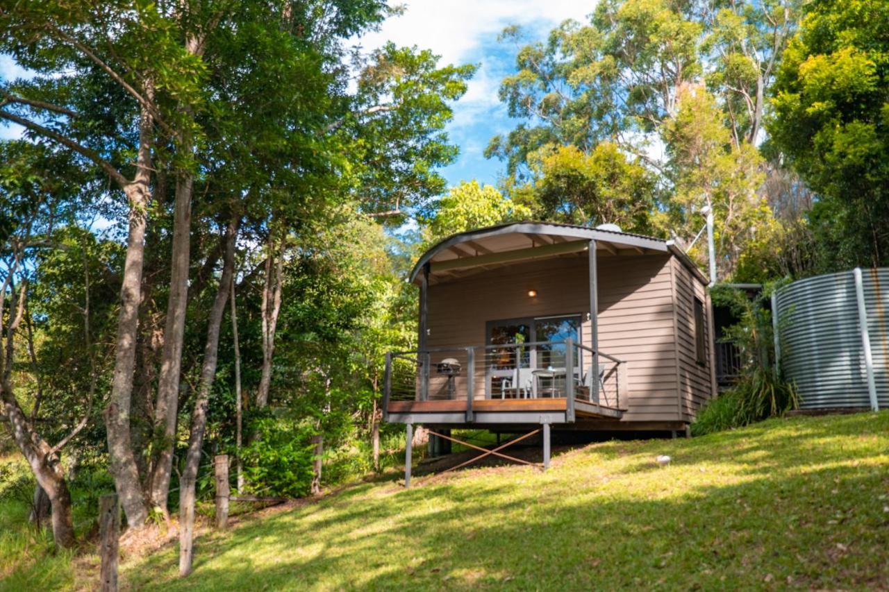 Whispering Valley Cottage Retreat Maleny Esterno foto