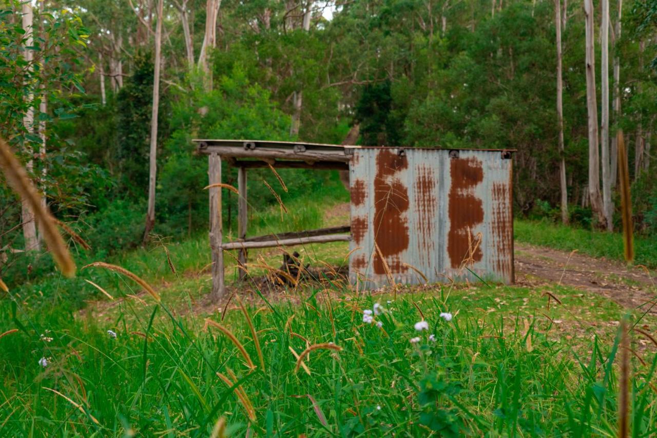 Whispering Valley Cottage Retreat Maleny Esterno foto