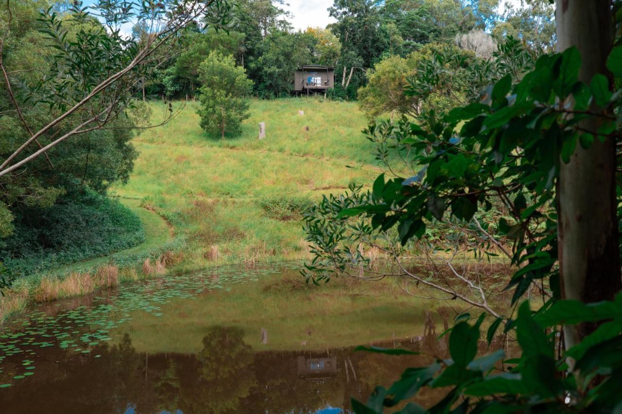 Whispering Valley Cottage Retreat Maleny Esterno foto