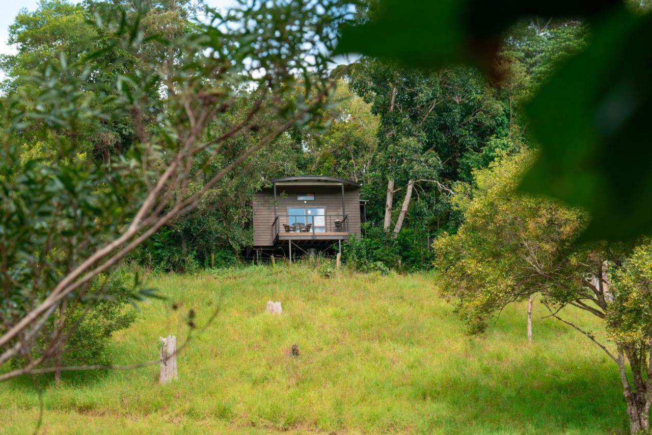 Whispering Valley Cottage Retreat Maleny Esterno foto