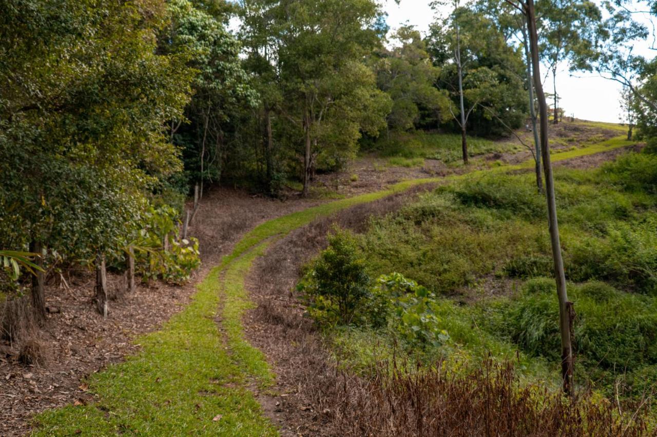 Whispering Valley Cottage Retreat Maleny Esterno foto