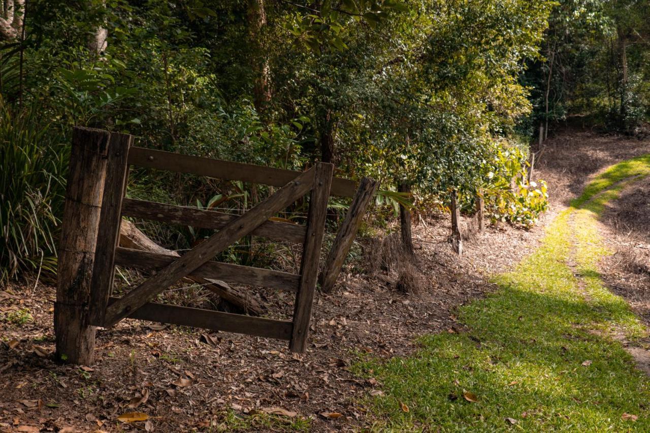 Whispering Valley Cottage Retreat Maleny Esterno foto