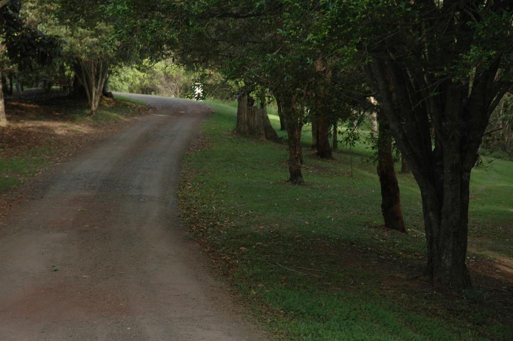 Whispering Valley Cottage Retreat Maleny Esterno foto