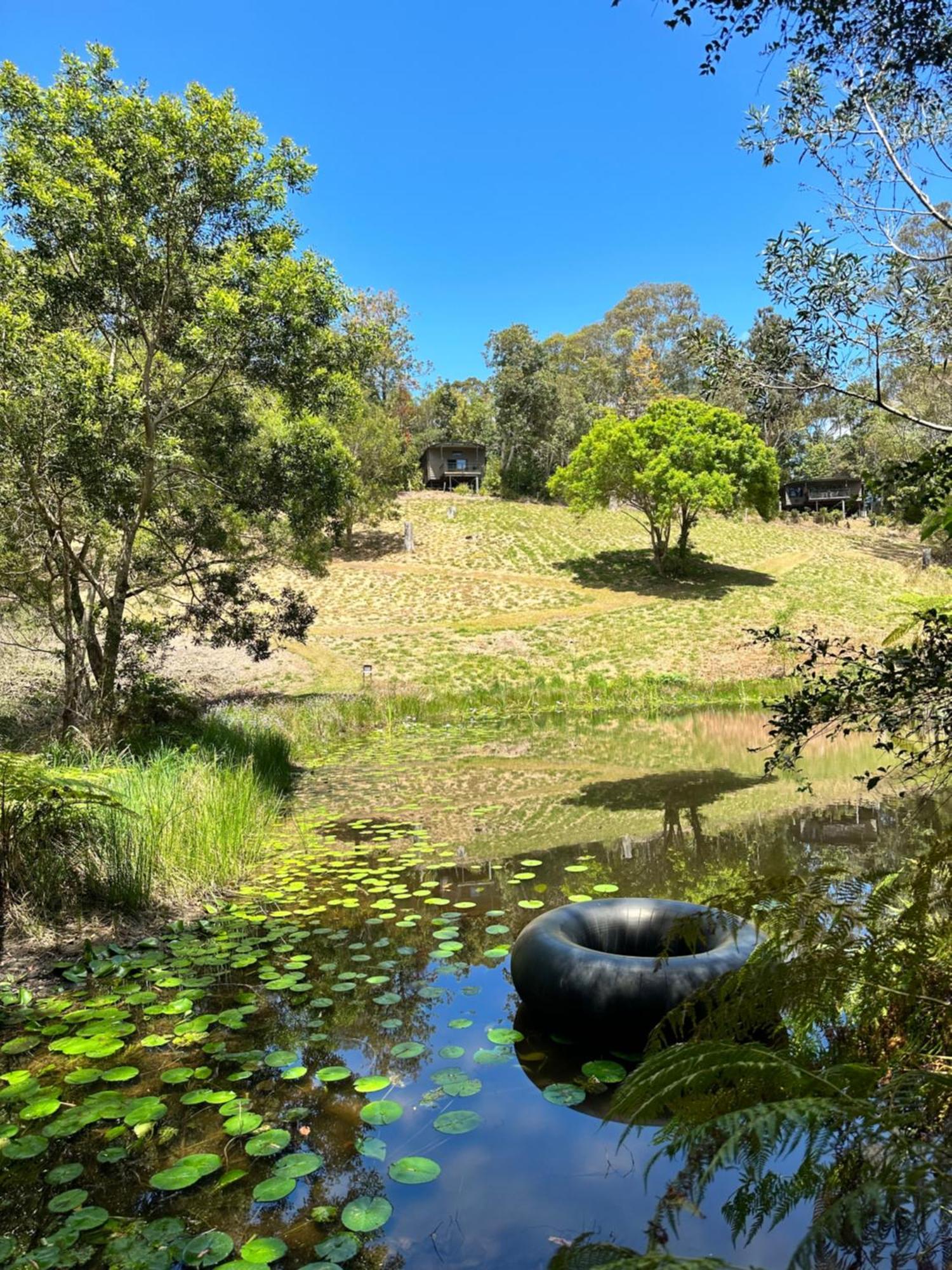 Whispering Valley Cottage Retreat Maleny Esterno foto