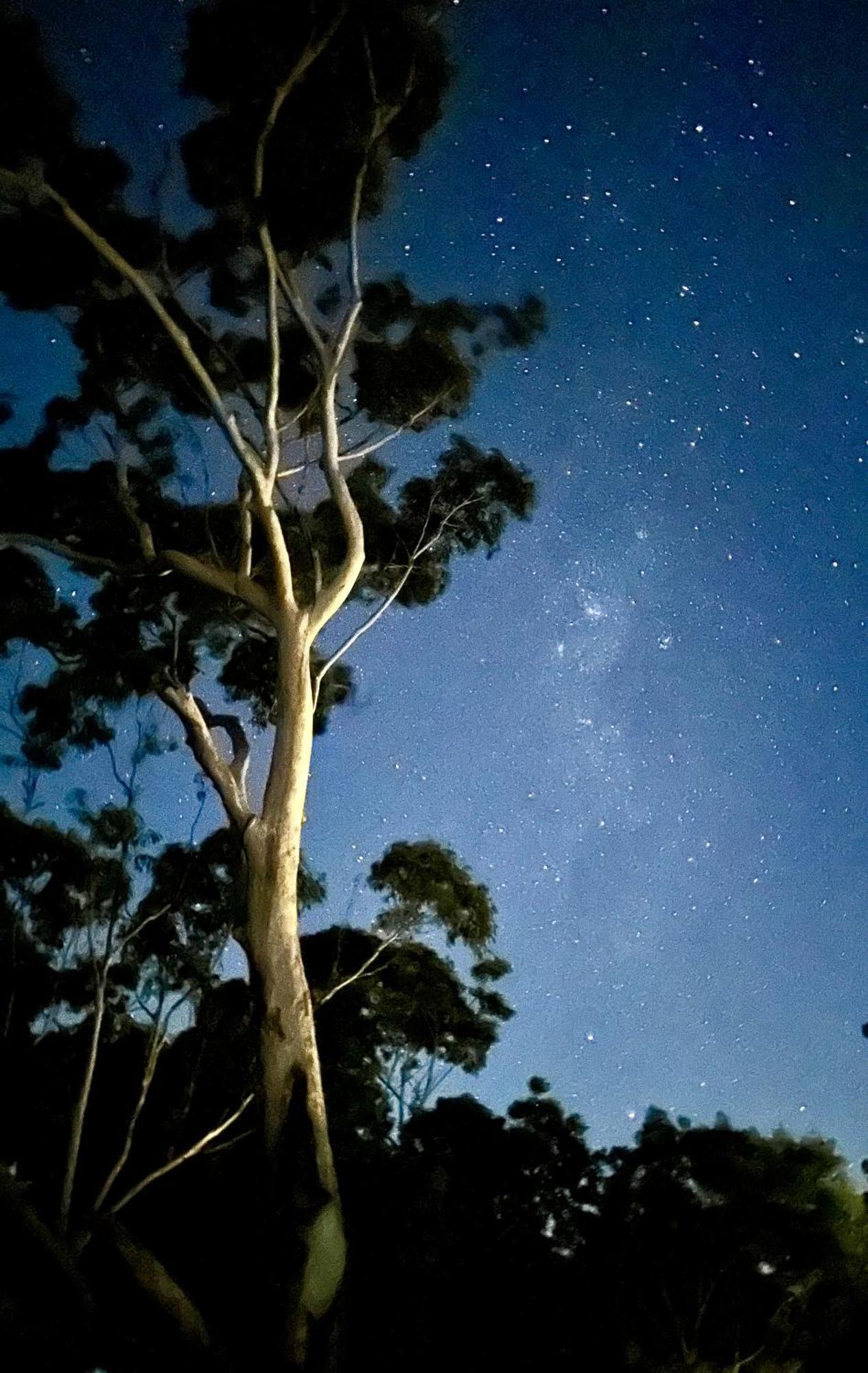 Whispering Valley Cottage Retreat Maleny Esterno foto