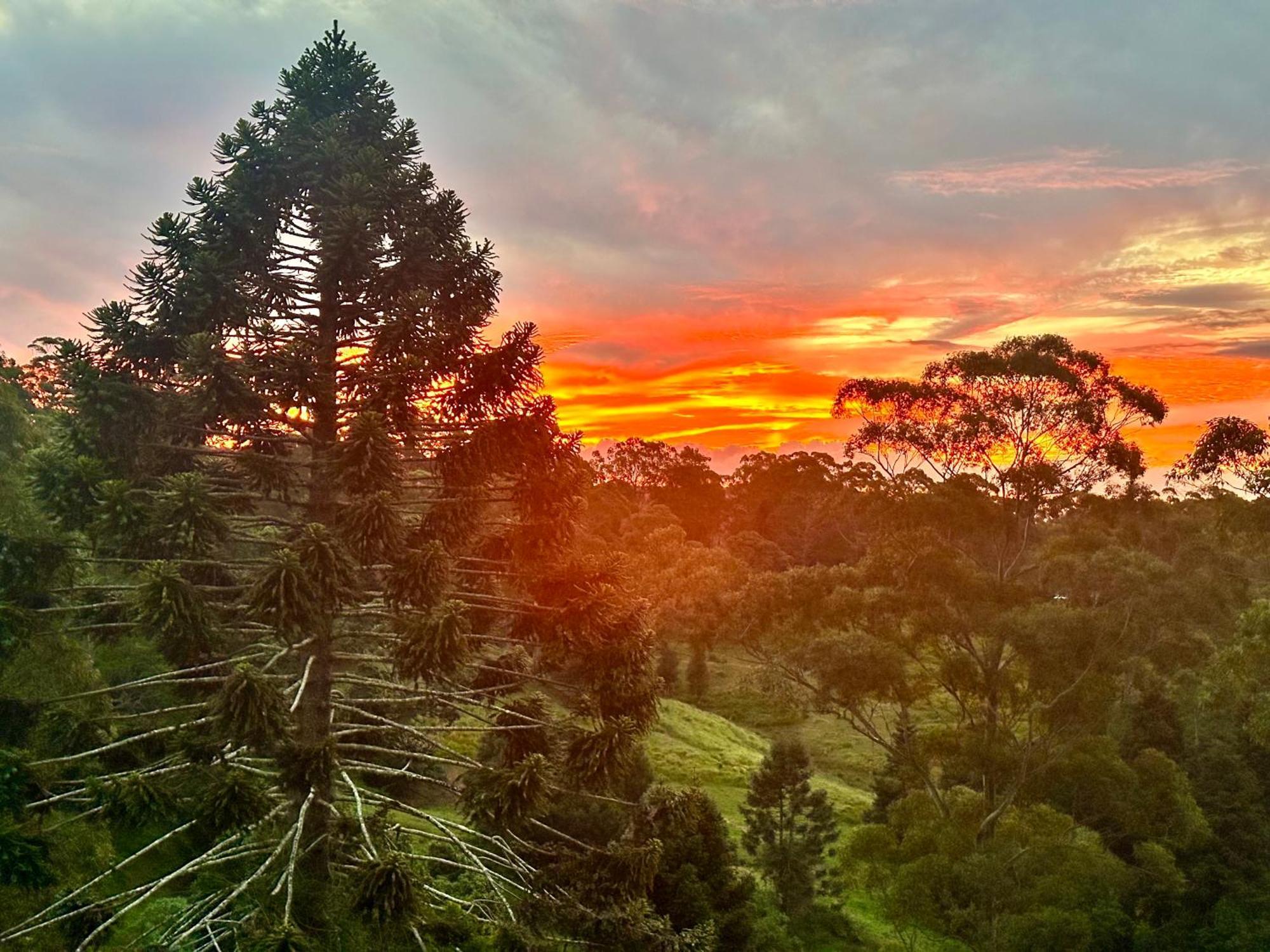 Whispering Valley Cottage Retreat Maleny Esterno foto