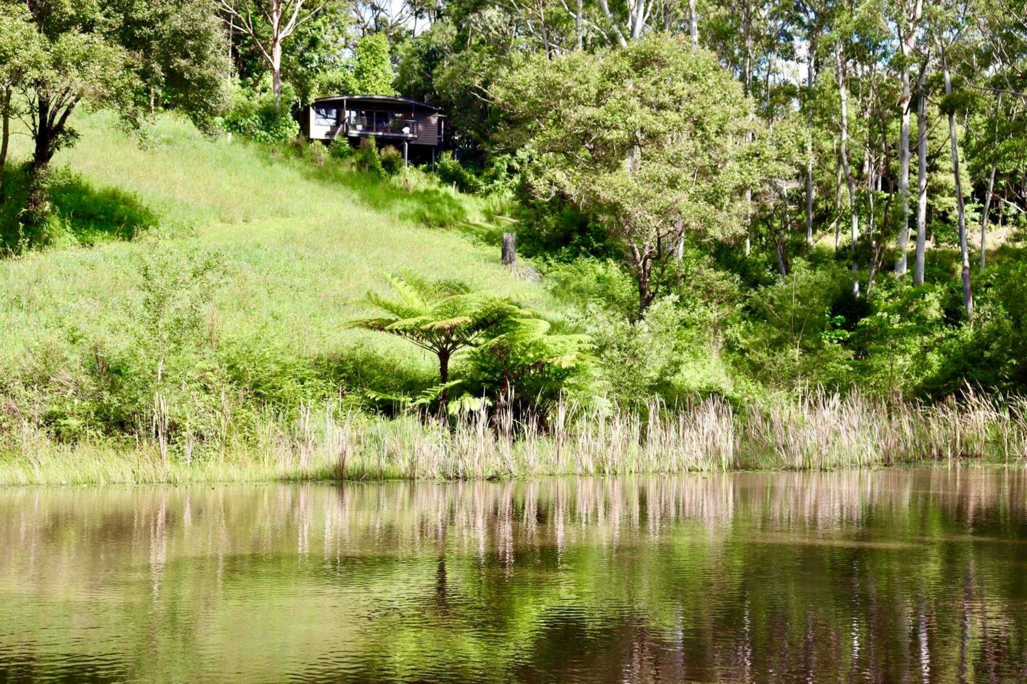Whispering Valley Cottage Retreat Maleny Esterno foto