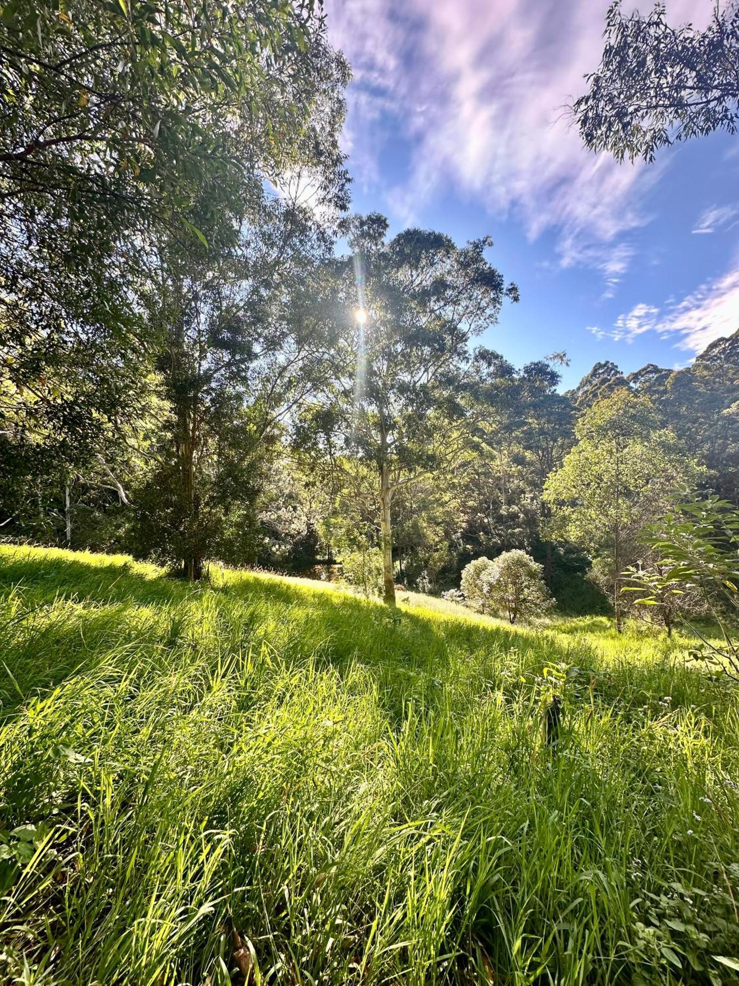 Whispering Valley Cottage Retreat Maleny Esterno foto