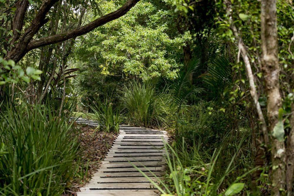 Whispering Valley Cottage Retreat Maleny Esterno foto