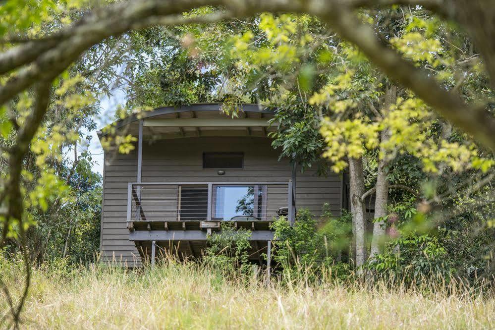 Whispering Valley Cottage Retreat Maleny Esterno foto