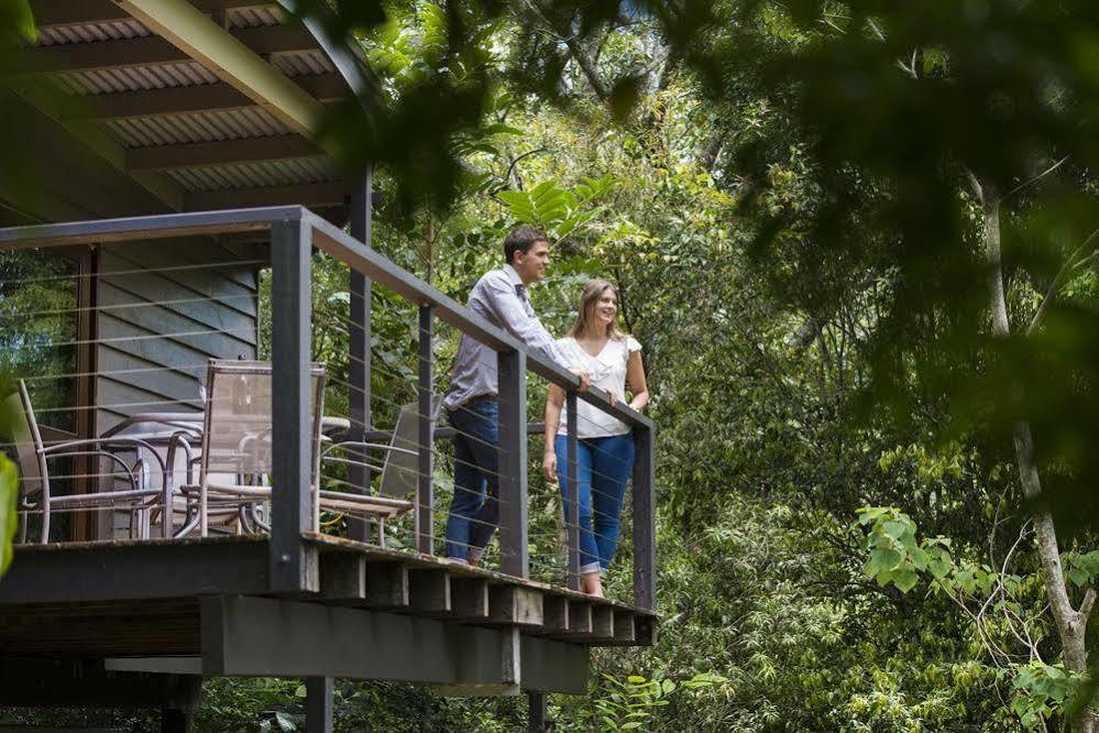 Whispering Valley Cottage Retreat Maleny Esterno foto