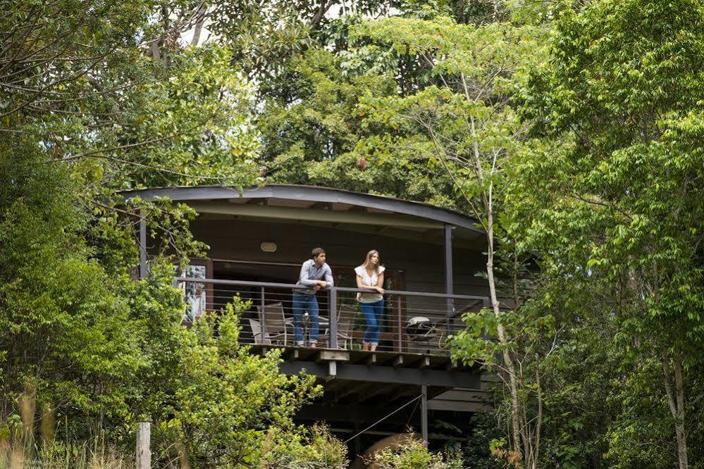 Whispering Valley Cottage Retreat Maleny Esterno foto
