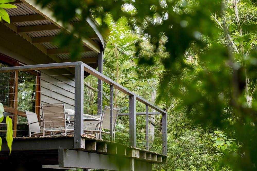 Whispering Valley Cottage Retreat Maleny Esterno foto