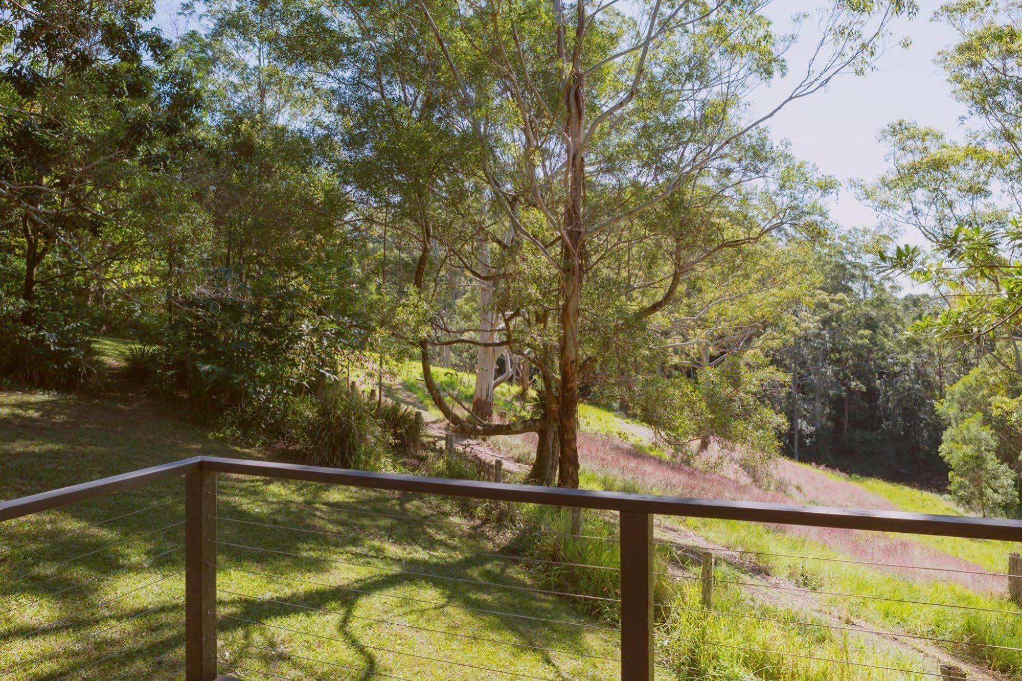 Whispering Valley Cottage Retreat Maleny Esterno foto
