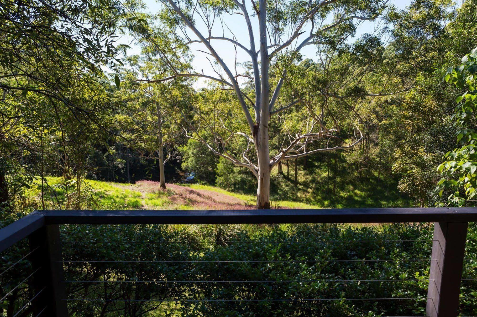 Whispering Valley Cottage Retreat Maleny Esterno foto